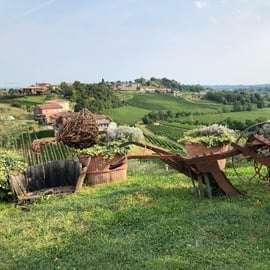 Venedig: Prosecco Hills Wineries Tour med provningar och lunch