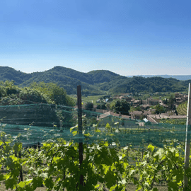 Degustace Prosecca z Benátek: vína Valdobbiadene DOCG