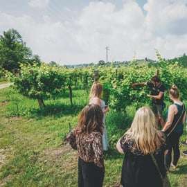 Von Venedig aus: Prosecco-Hügel und Weinverkostung Tour