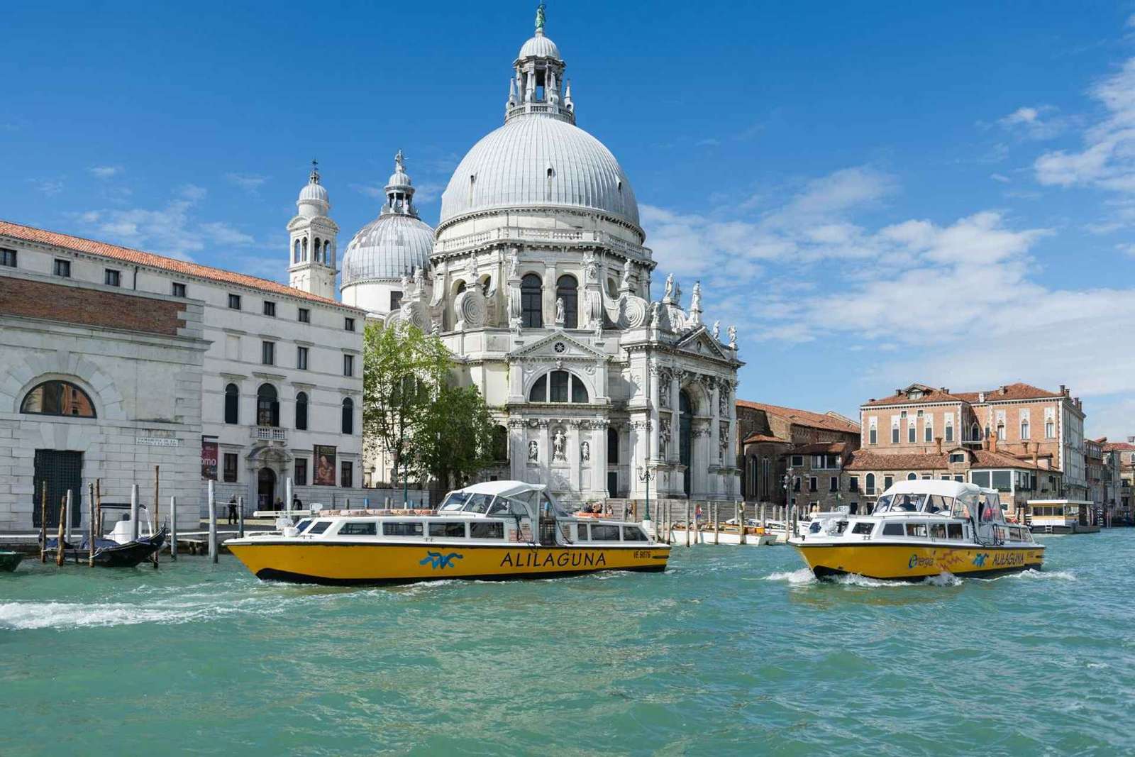 Bootstransfer Flughafen Marco Polo: drei Linien nach Venedig