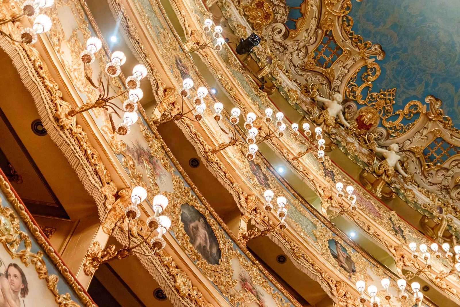 The Majestic Teatro La Fenice: Guided Tour in Venice