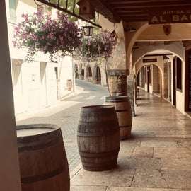 Prosecco-Hügel Tour ab Venedig mit Spritz und Asolo