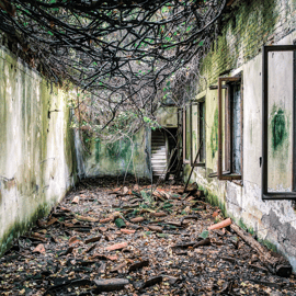Båttur till ön Poveglia från Venedig, övergiven ö