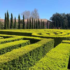 Venedig: Borges labyrintupplevelse på ön San Giorgio
