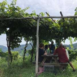 Venedig: Prosecco Hills Wineries Tour med provningar och lunch