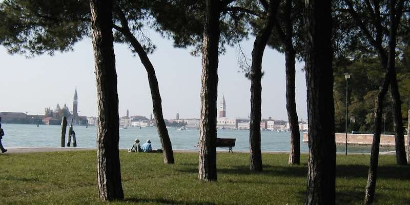 Pine Grove of Sant'Elena